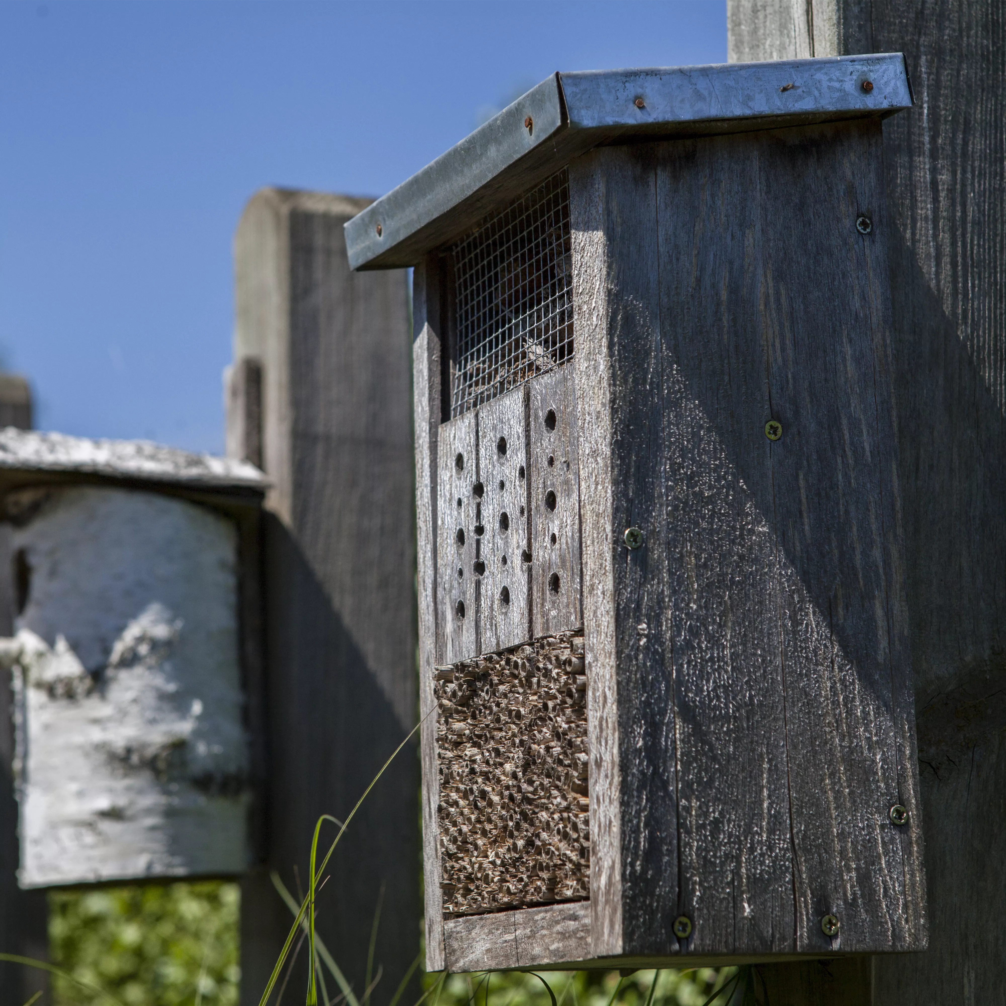 Bauen Sie ein Insektenhotel 